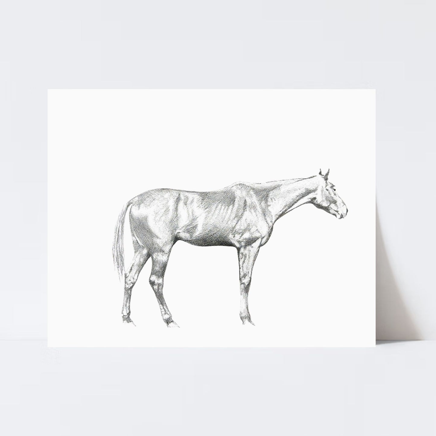 “Scottie” Print